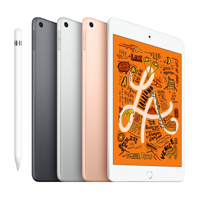 Apple 아이패드 미니 5세대 WIFI 256G